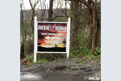 00 Deer Ridge Road, Orangeville, IL 62939 - Photo 6