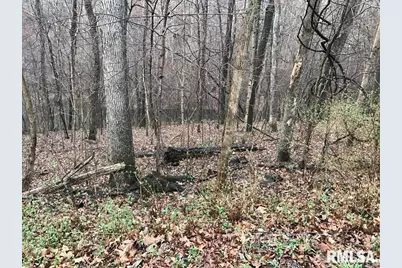 00 Deer Ridge Road, Orangeville, IL 62939 - Photo 2