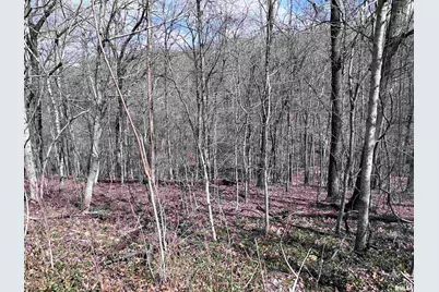 00 Deer Ridge Road, Orangeville, IL 62939 - Photo 8