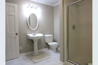 1253 County Road 800 E, Carmi, IL 62821 - Photo 12