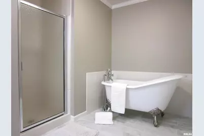 1253 County Road 800 E, Carmi, IL 62821 - Photo 10