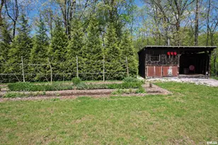 4636 Kinoka Rd, Alma, IL 62807 - Photo 48