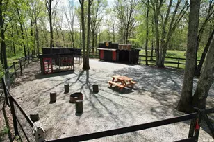 4636 Kinoka Rd, Alma, IL 62807 - Photo 54