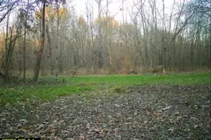 7544 Geranium Rd, Rockdale, IL 62268 - Photo 28