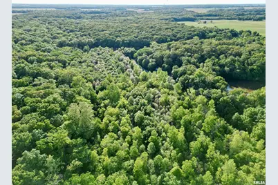 7544 Geranium Road, Rockdale, IL 62268 - Photo 26