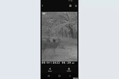 7544 Geranium Road, Rockdale, IL 62268 - Photo 30