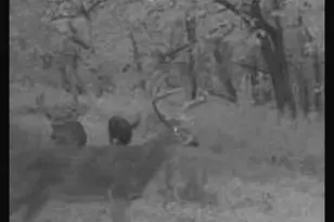 7544 Geranium Rd, Rockdale, IL 62268 - Photo 30