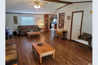 3614 S Hotze Road, Salem, IL 62881 - Photo 16