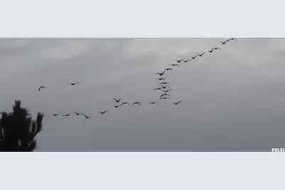 1640 Pleasant Ridge Road, Vienna, IL 62995 - Photo 82