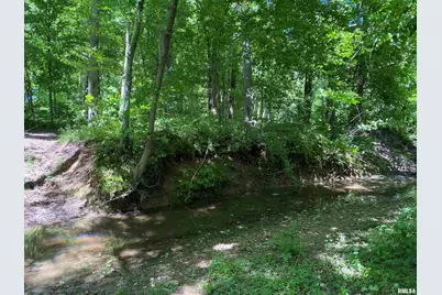 1640 Pleasant Ridge Road, Vienna, IL 62995 - Photo 34