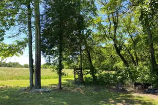 1640 Pleasant Ridge Rd, Vienna, IL 62995 - Photo 30