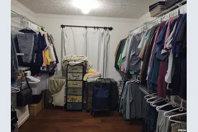 1640 Pleasant Ridge Road, Vienna, IL 62995 - Photo 16