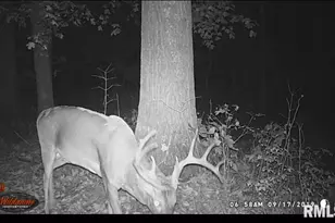 1640 Pleasant Ridge Rd, Vienna, IL 62995 - Photo 76