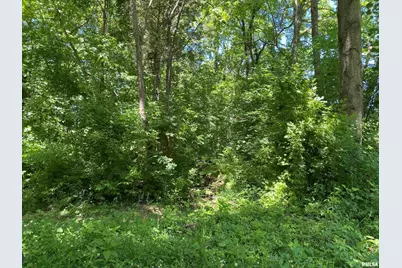 1640 Pleasant Ridge Road, Vienna, IL 62995 - Photo 40