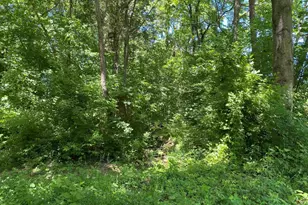 1640 Pleasant Ridge Rd, Vienna, IL 62995 - Photo 40