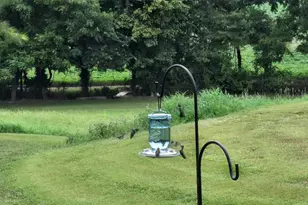 1640 Pleasant Ridge Rd, Vienna, IL 62995 - Photo 70