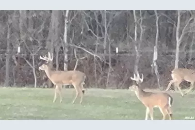 1640 Pleasant Ridge Road, Vienna, IL 62995 - Photo 80