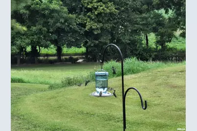 1640 Pleasant Ridge Road, Vienna, IL 62995 - Photo 74