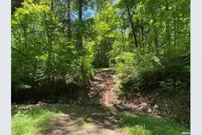 1640 Pleasant Ridge Road, Vienna, IL 62995 - Photo 42