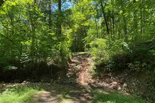 1640 Pleasant Ridge Rd, Vienna, IL 62995 - Photo 42