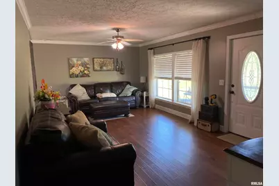 1640 Pleasant Ridge Road, Vienna, IL 62995 - Photo 12