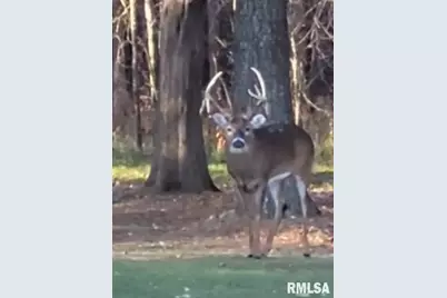 1640 Pleasant Ridge Road, Vienna, IL 62995 - Photo 78