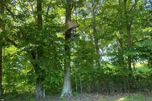 1640 Pleasant Ridge Rd, Vienna, IL 62995 - Photo 40