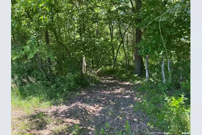 1640 Pleasant Ridge Road, Vienna, IL 62995 - Photo 28