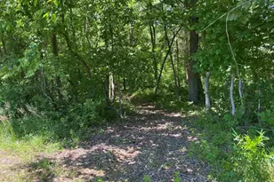 1640 Pleasant Ridge Rd, Vienna, IL 62995 - Photo 28