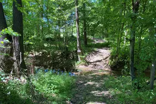 1640 Pleasant Ridge Rd, Vienna, IL 62995 - Photo 34