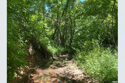 1640 Pleasant Ridge Road, Vienna, IL 62995 - Photo 36