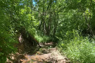 1640 Pleasant Ridge Rd, Vienna, IL 62995 - Photo 36