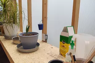 1640 Pleasant Ridge Rd, Vienna, IL 62995 - Photo 58