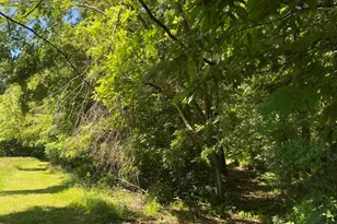 1640 Pleasant Ridge Rd, Vienna, IL 62995 - Photo 32