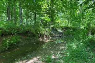 1640 Pleasant Ridge Rd, Vienna, IL 62995 - Photo 36