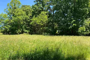 1640 Pleasant Ridge Rd, Vienna, IL 62995 - Photo 38