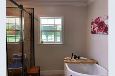 1640 Pleasant Ridge Road, Vienna, IL 62995 - Photo 18