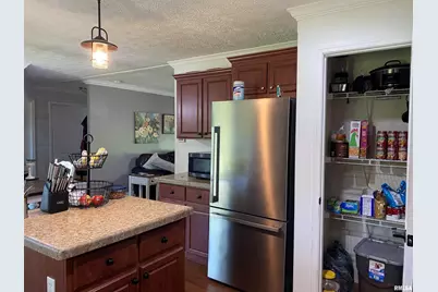 1640 Pleasant Ridge Road, Vienna, IL 62995 - Photo 10