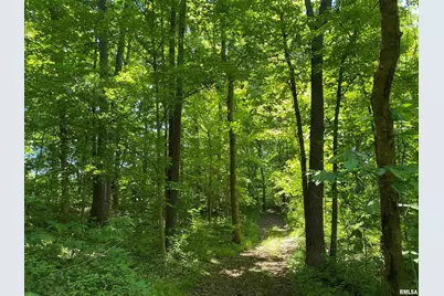 1640 Pleasant Ridge Road, Vienna, IL 62995 - Photo 32