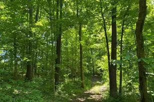 1640 Pleasant Ridge Rd, Vienna, IL 62995 - Photo 32