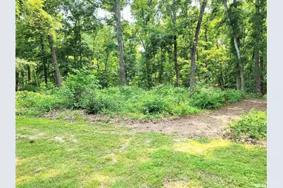 7324 State Route 161, Iuka, IL 62849 - Photo 58