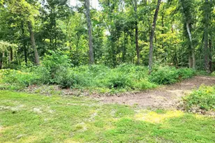 7324 State Route 161, Iuka, IL 62849 - Photo 58