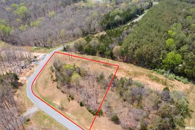 0000 Clifty Lane, Orangeville, IL 62939 - Photo 10