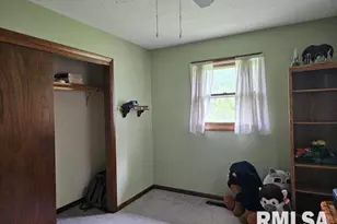 211 E Lincoln St, Galatia, IL 62935 - Photo 8