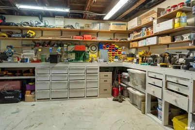 310 Cross Creek Drive, Cobden, IL 62920 - Photo 46