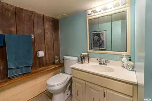 310 Cross Creek Dr, Cobden, IL 62920 - Photo 36