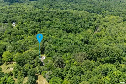 310 Cross Creek Drive, Cobden, IL 62920 - Photo 56