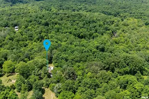 310 Cross Creek Dr, Cobden, IL 62920 - Photo 56