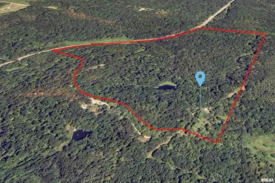 310 Cross Creek Drive, Cobden, IL 62920 - Photo 54