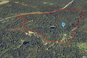 310 Cross Creek Dr, Cobden, IL 62920 - Photo 54